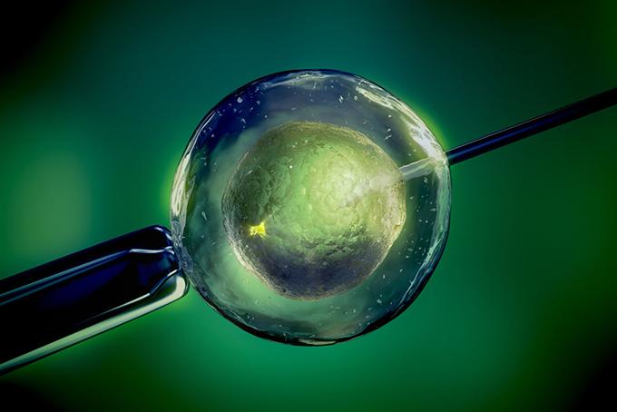 关键词:试管婴儿试管实验医学实验生殖医学医学仪器卵子新生命