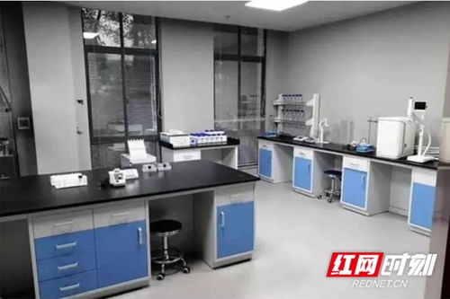 中国古巴生物技术联合创新中心完成实验室设备安装工作